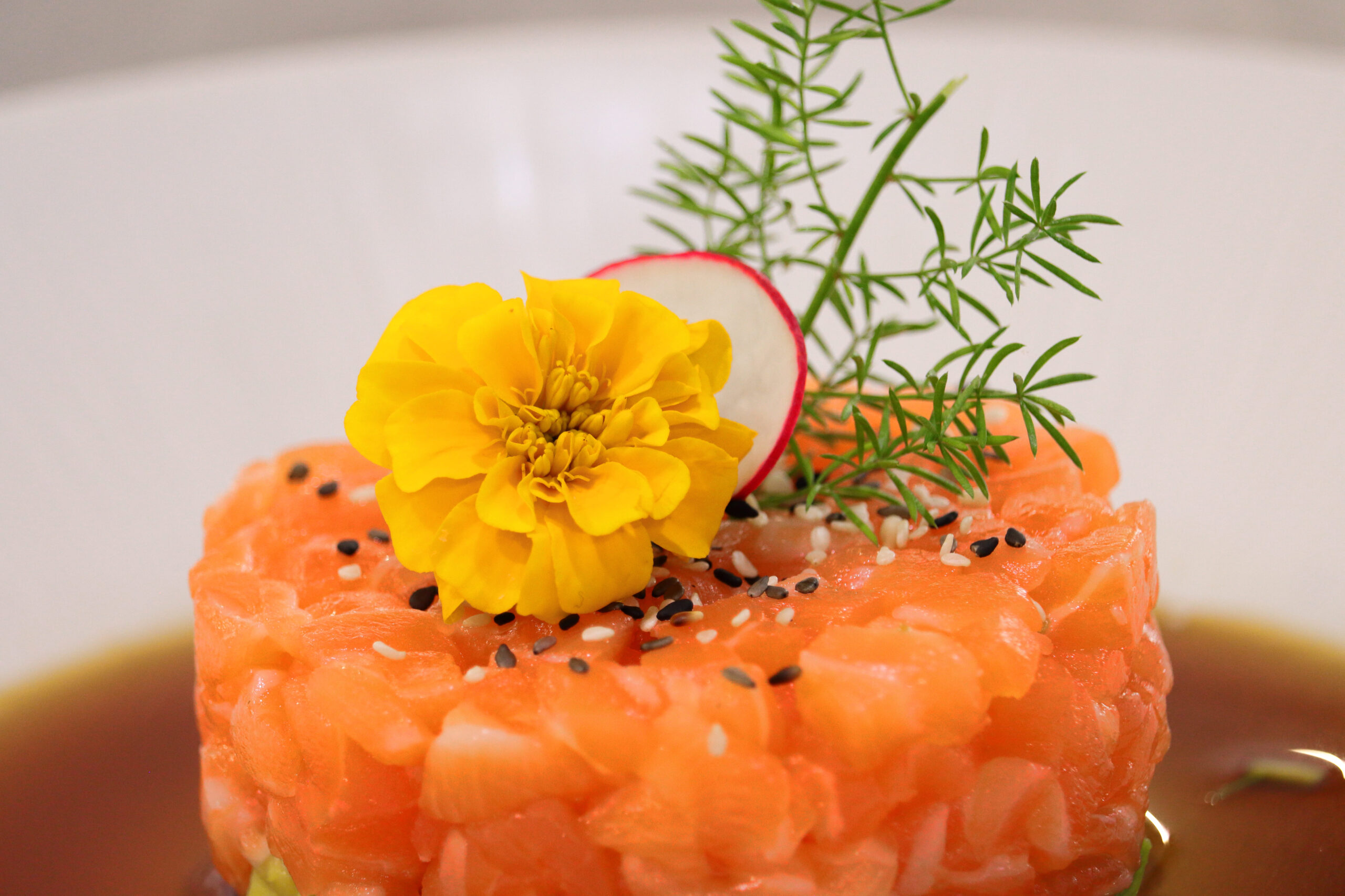 TAKUMI SUSHI PALERMO PIATTI PIETANZE CUCINA GOURMET 13 TAKUMI SUSHI PALERMO PIATTI PIETANZE CUCINA GOURMET 13